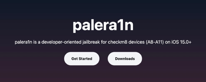 Palera1n 首頁