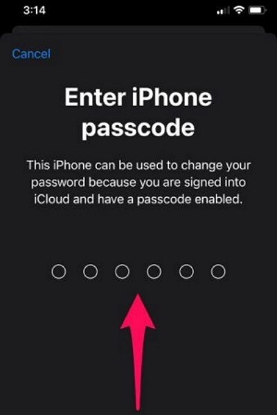 輸入您的 iPhone 或 iPad 密碼 |無需密碼從 iPhone 中刪除 iCloud